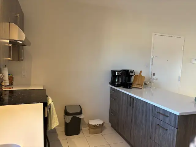 Very Large renovated 4 1/2 West Island NEAR ALL63882289454339121