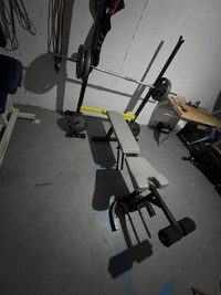 Bench press/squat rack