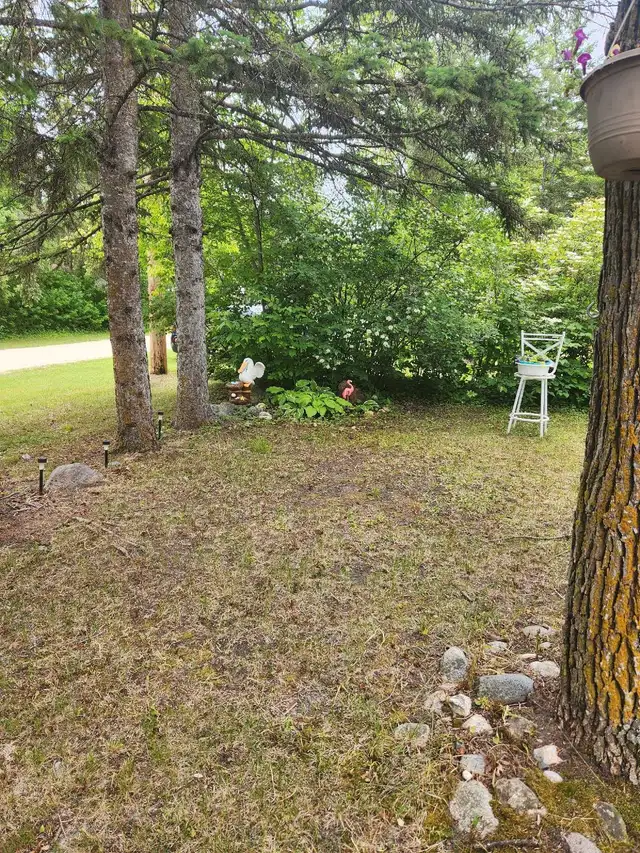 Long weekend available June 29th to July 6 in Manitoba in Canada - Image 3