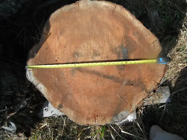 Live edge cookies in Hobbies & Crafts in Ottawa - Image 3