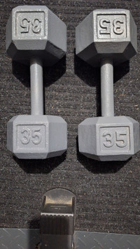 Barbell solid hex Dumbbell 40 lb