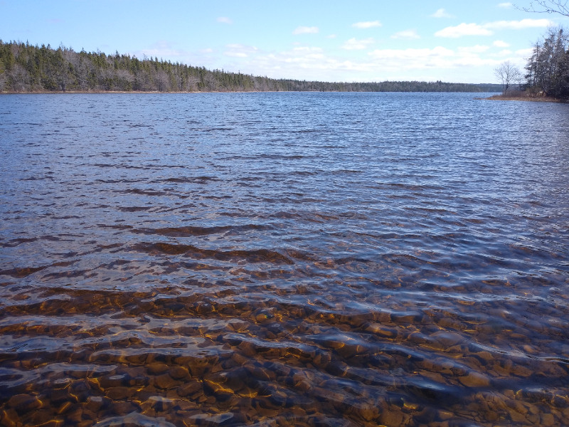 Lakefront land on Loch Lomond Cape Breton Land for Sale Cape Breton