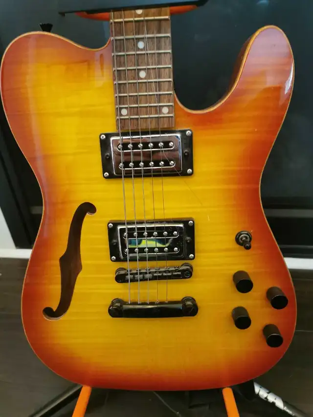 Alden Electric Guitar - $300 in Guitars in Markham / York Region - Image 3