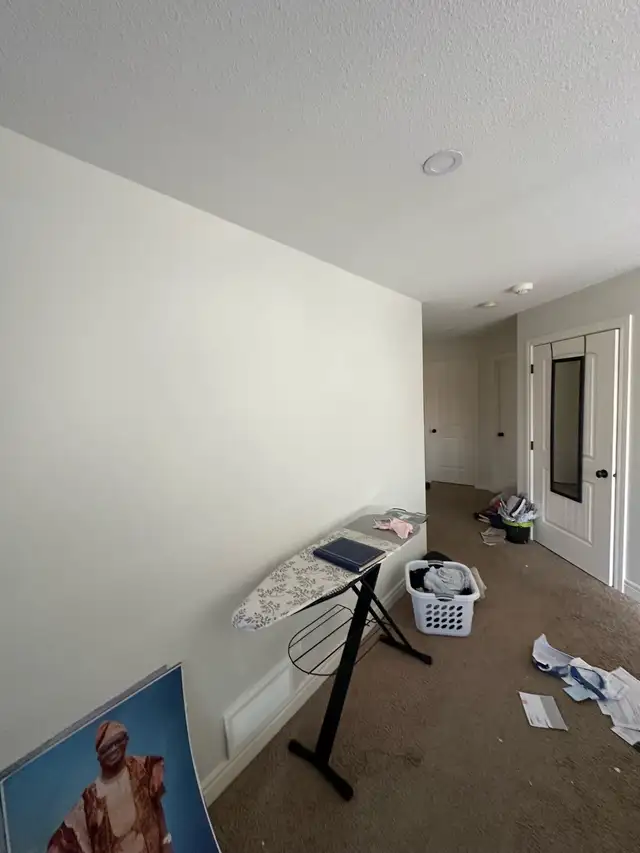 painting services and doors finishing 62864358724994121