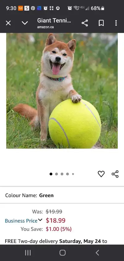 This is a fun, oversized tennis ball for dogs that love to play fetch! It is in used condition, read...