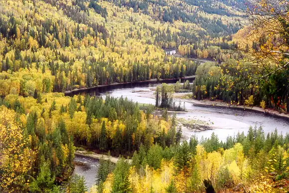 10 Acre Wilderness homestead in Land for Sale in Kamloops - Image 2