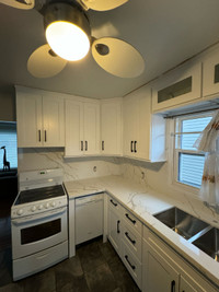 Kitchen Cabinets & Quartz Countertop on Big SALE!