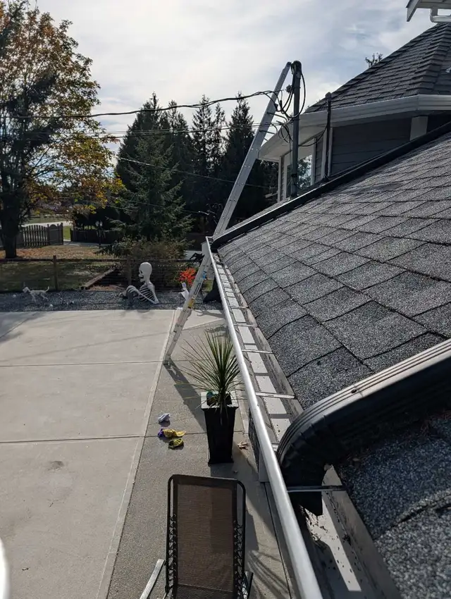 Gutter cleaning