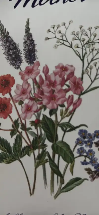 female psw needed ASAP, View more