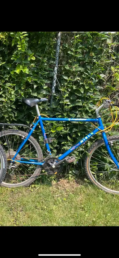 vintage miele bikes in Bikes in Ontario Kijiji Marketplaces