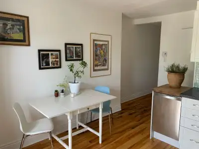 Joli condo meublé - tout inclus - Petite patrie