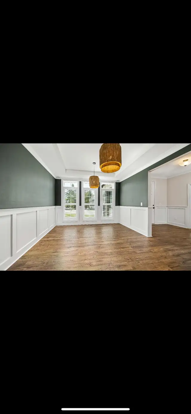 Professional Painting - Straight Edge Painting63006659036545121