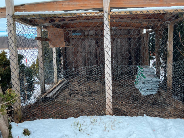cage à poule dans Accessoires  à Ville de Montréal - Image 2