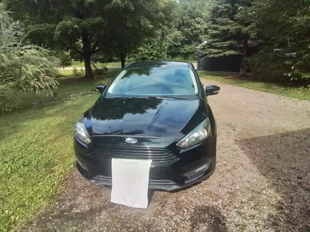 2016 ford focus553848832252989441