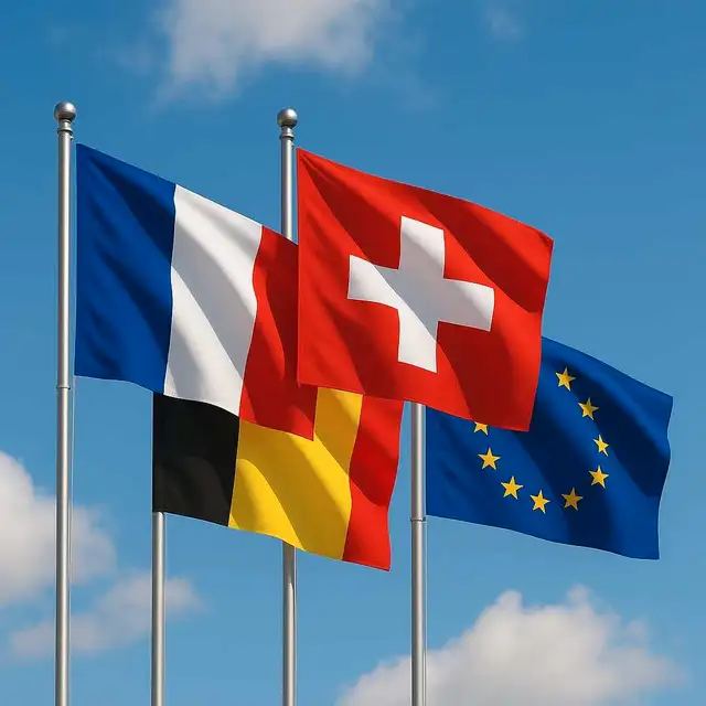 French Tutor Sought (European)63735895079683120
