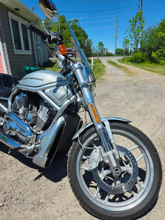 10th Anniversary Harley Davidson Vrod in Street, Cruisers & Choppers in St. Catharines - Image 5