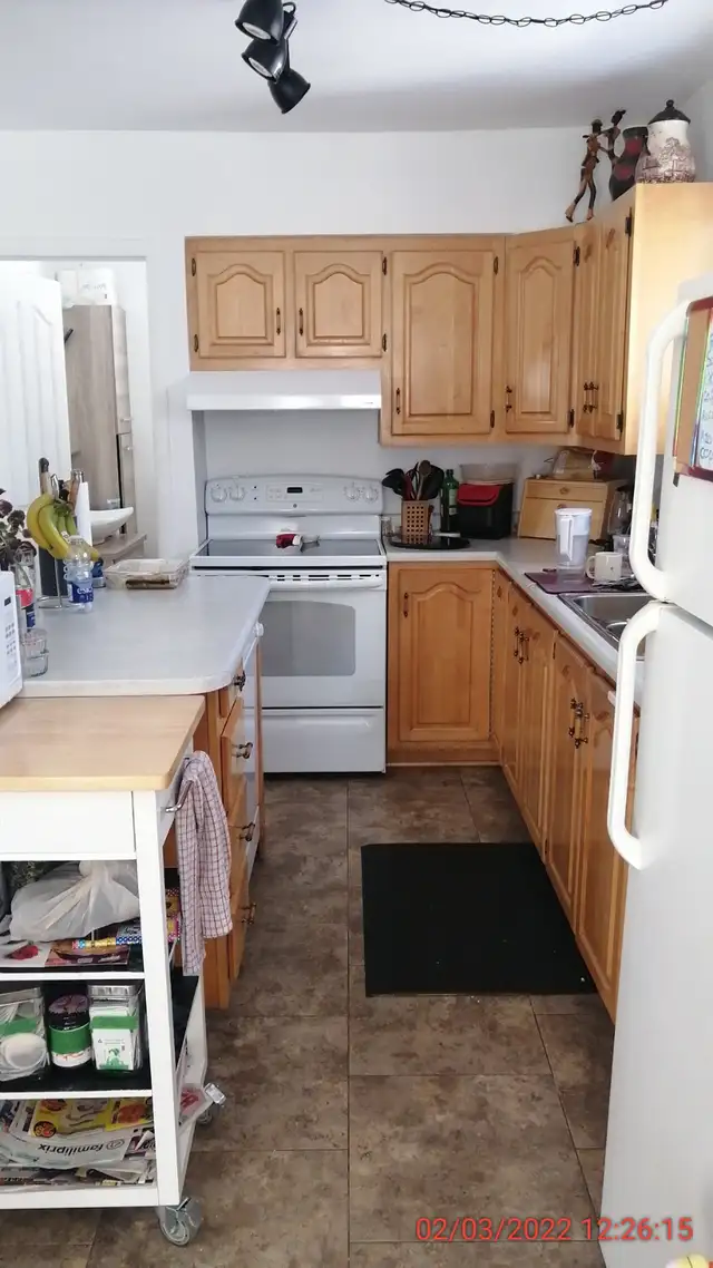 Recherche colocataire ST-Anaclet-de-Lessard in Room Rentals & Roommates in Rimouski / Bas-St-Laurent - Image 7