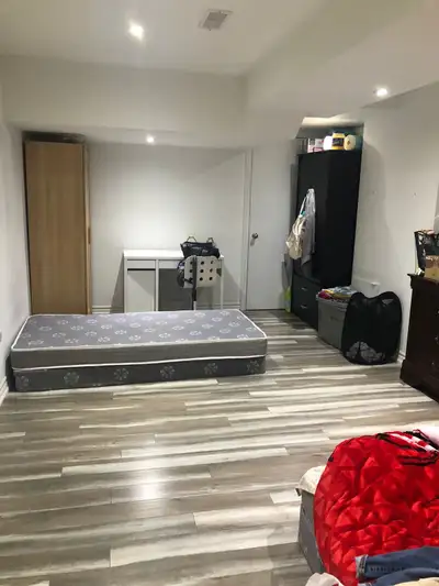 Room Available for Rent in Basement (Shared Accommodati