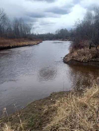 Hello, do you have a property that you just don't want or use & was left to you, owed taxes on it or...