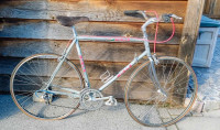 Bicycle (Miele Racing Bike)