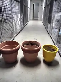 Garden Flower Pots