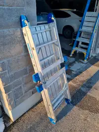 Platform ladder / work table/