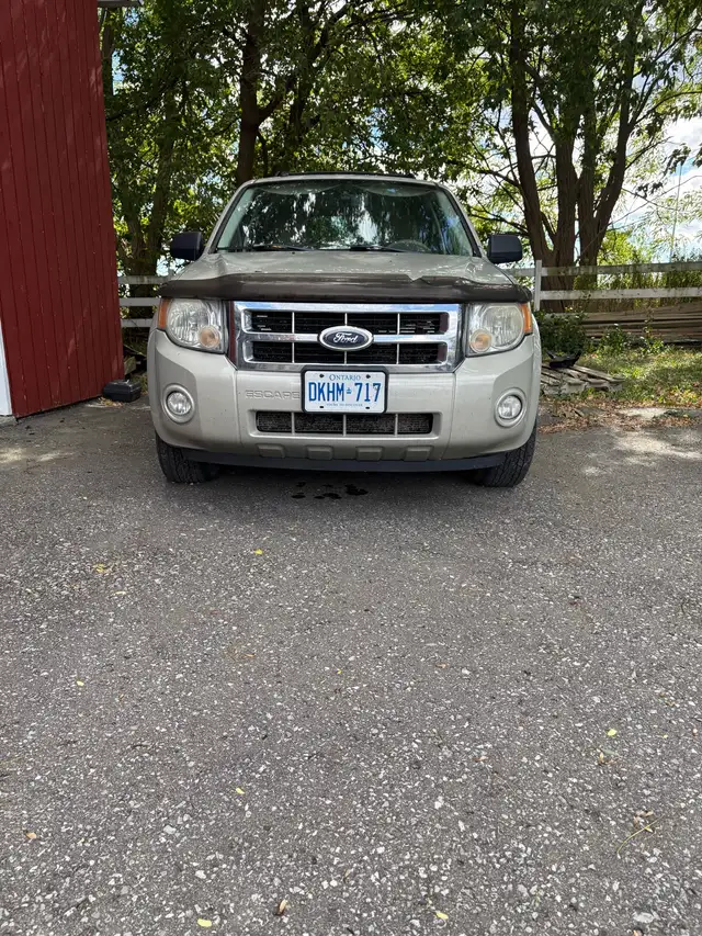 2008 ford escape