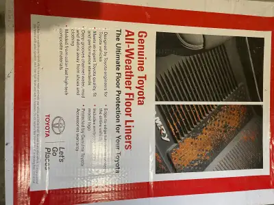 2 sets of floor mat(all season and carpet) 2020MY
