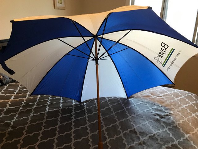 Vintage Bayer Company Umbrella.  in Arts & Collectibles in Sarnia - Image 2
