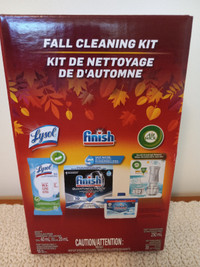 REDUCED PRICE - Cleaning Kit