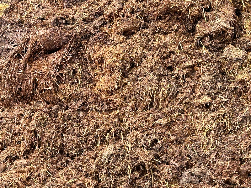 FREE compost Free Stuff Oakville / Halton Region Kijiji