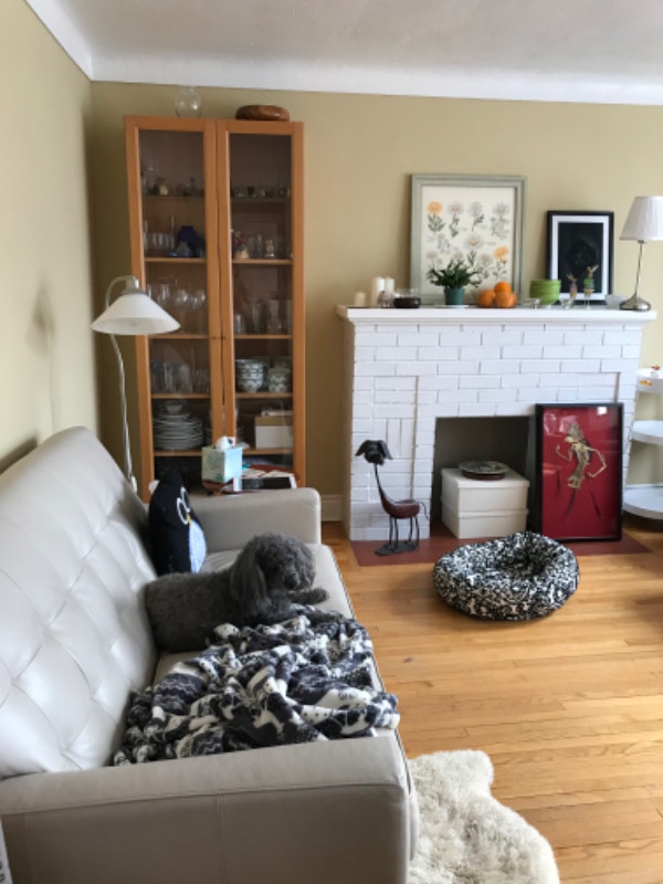 Roommate wanted to share a 2 bd apartment in Wellington Village Room
