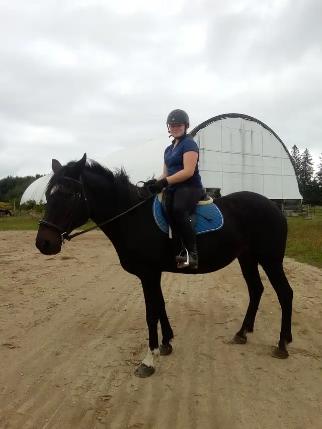 Horseback Riding65449149580290120