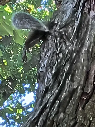 Indoor plants growing business looking for lead horticulturist, View more