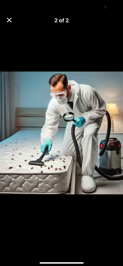 Contact us at 6473917092 for free consultation/inspection for bedbugs, cockroaches, mice, rat, sow b...