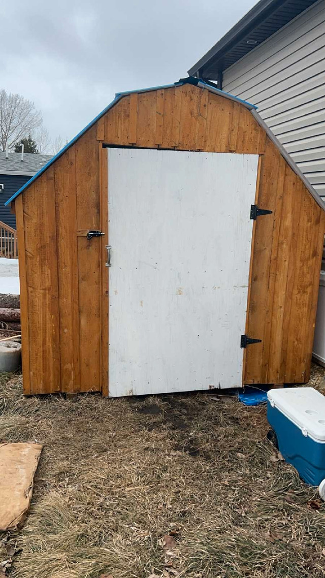 8 feet X 8 feet shed  in Outdoor Tools & Storage in Edmonton