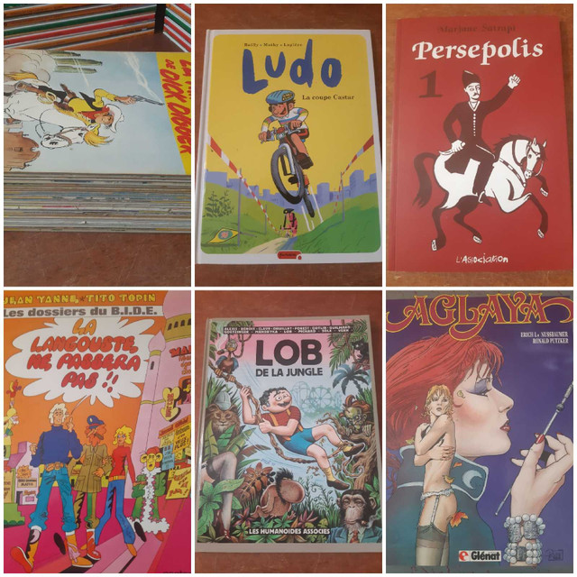 Astérix Lucky Luke Spirou Tintin Bande dessinée lot de 29 bd  dans Bandes dessinées  à Laurentides