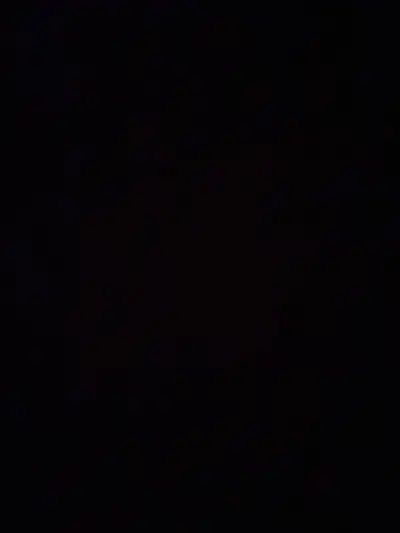 I have experience in landscaping , painting , cleaning , demolition , snow removal, general labourer...