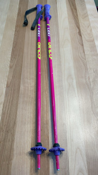 Bâton de ski alpin pour enfant. 85cm. 10$