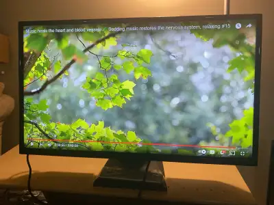 32” Insignia LED TV for Sale, can deliver, View more