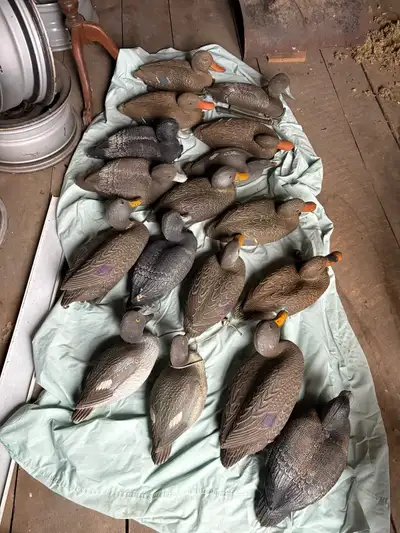 Duck Decoys, View more