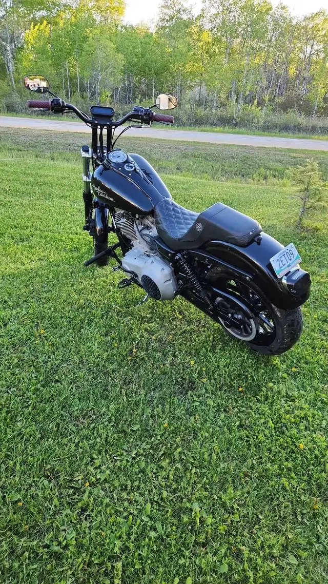 2009 harley Davidson dyna in Street, Cruisers & Choppers in Winnipeg - Image 6