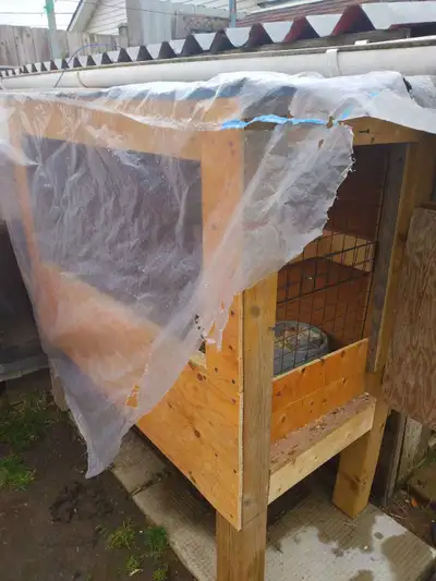 PIGEON COOP VERY WELL BUILT  REDUCED, View more