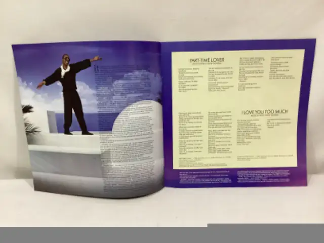 STEVIE WONDER (IN SQUARE CIRCLE) GATE-FOLD WITH BOOKLET VINYL LP in Arts & Collectibles in Winnipeg - Image 7