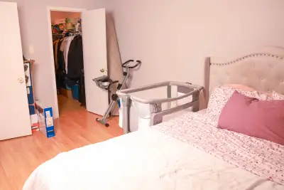 Magnifique appartement à louer