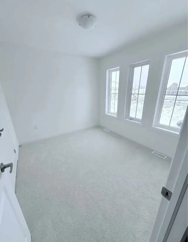 Male roommate wanted