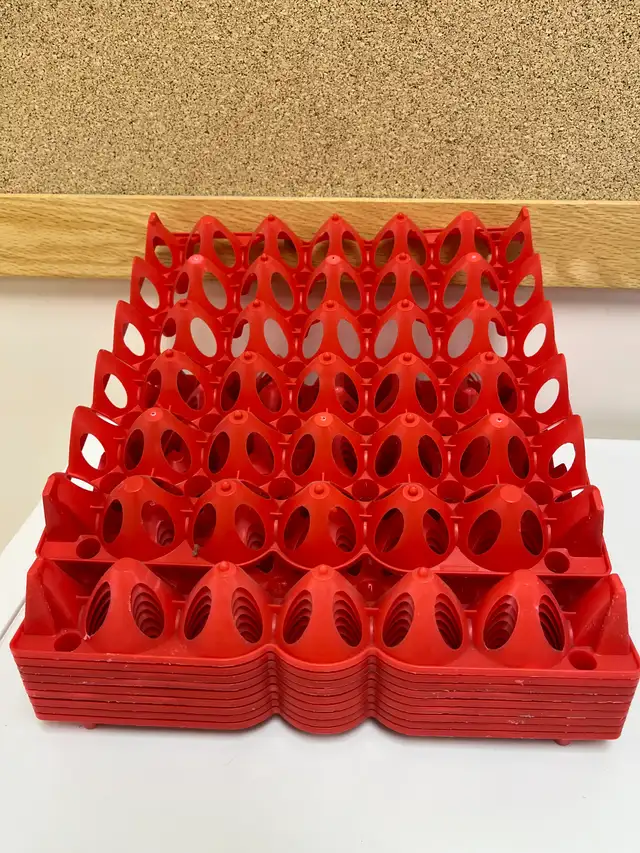 Plastic Egg Trays in Other in Portage la Prairie - Image 2