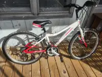 2 vélos 24 pouces restauré