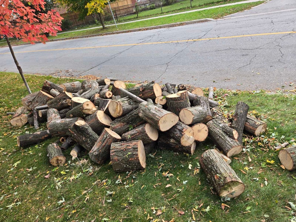 Free Firewood Logs | Fireplace & Firewood | City of Toronto | Free ...