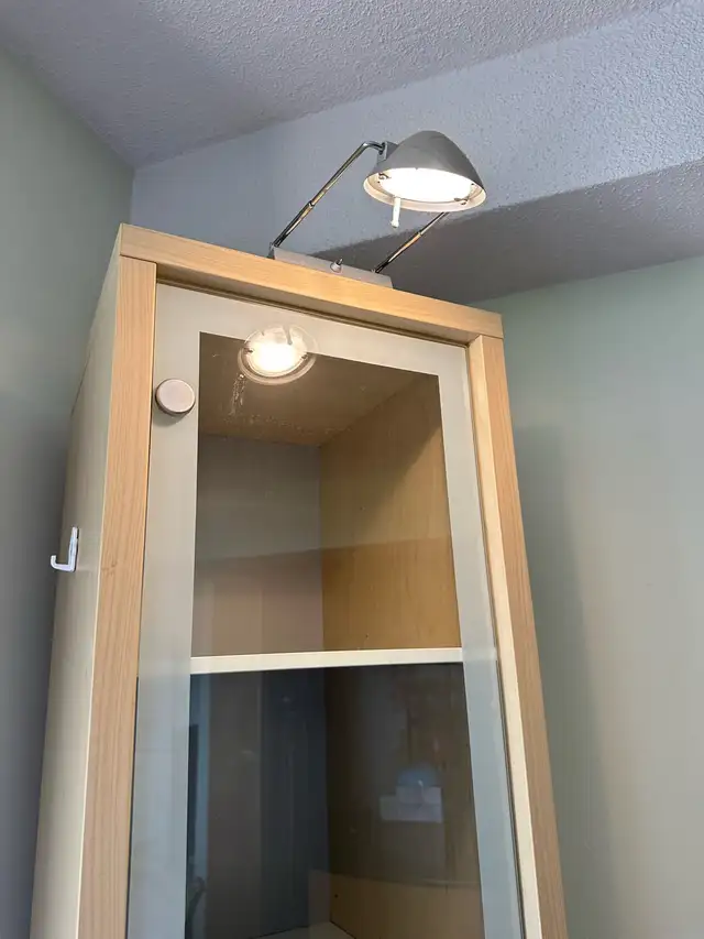IKEA Display Cabinet with Glass Doors and Light62863268225409123